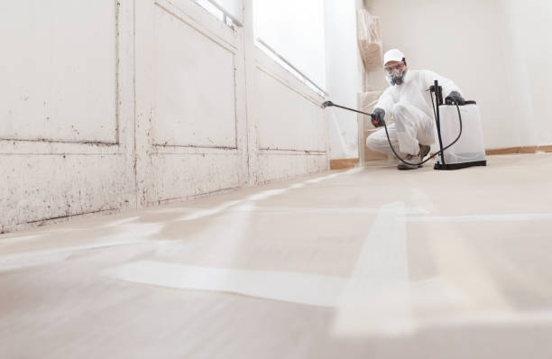 24/7 Emergency Mold Remediation experts in Burtonsville, MD